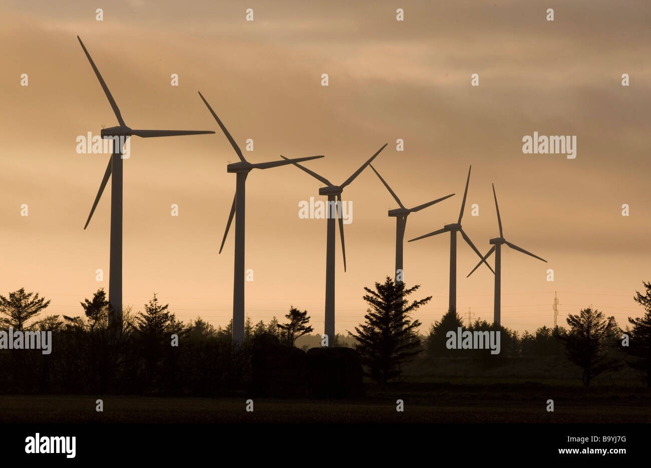 Turbina eolica macchine in South West Jutland in Danimarca su una serata primaverile Foto Stock