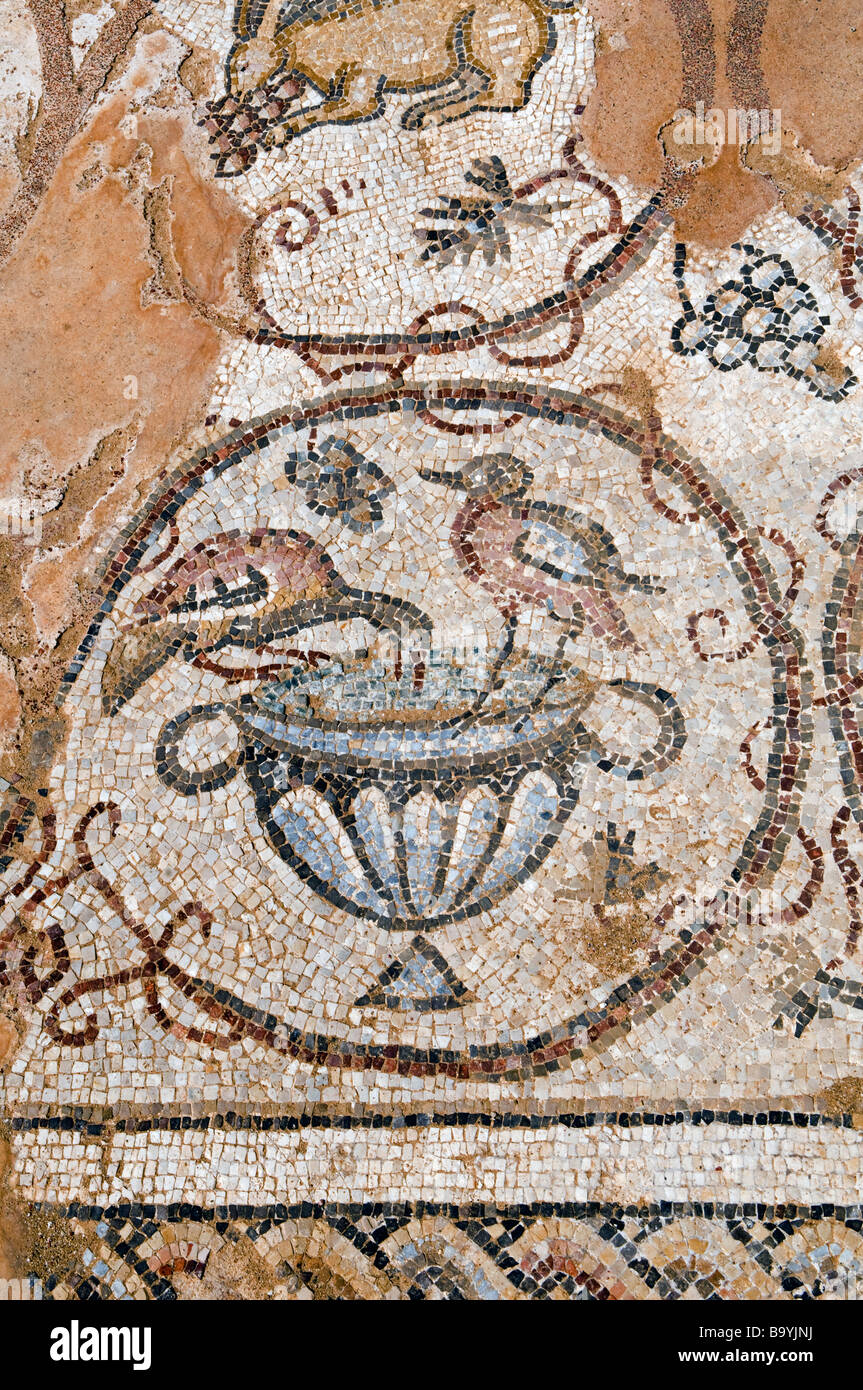 Un Romano pavimento a mosaico raffigurante uccelli di Cesarea parco nazionale di Israele Foto Stock