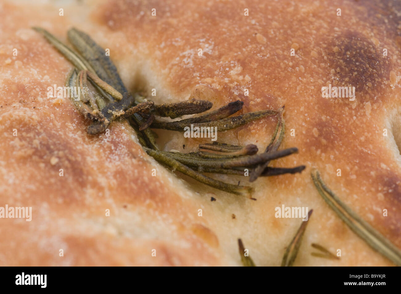 Close up di foglie essiccate di rosmarino herb sulla focaccia italiana Foto Stock