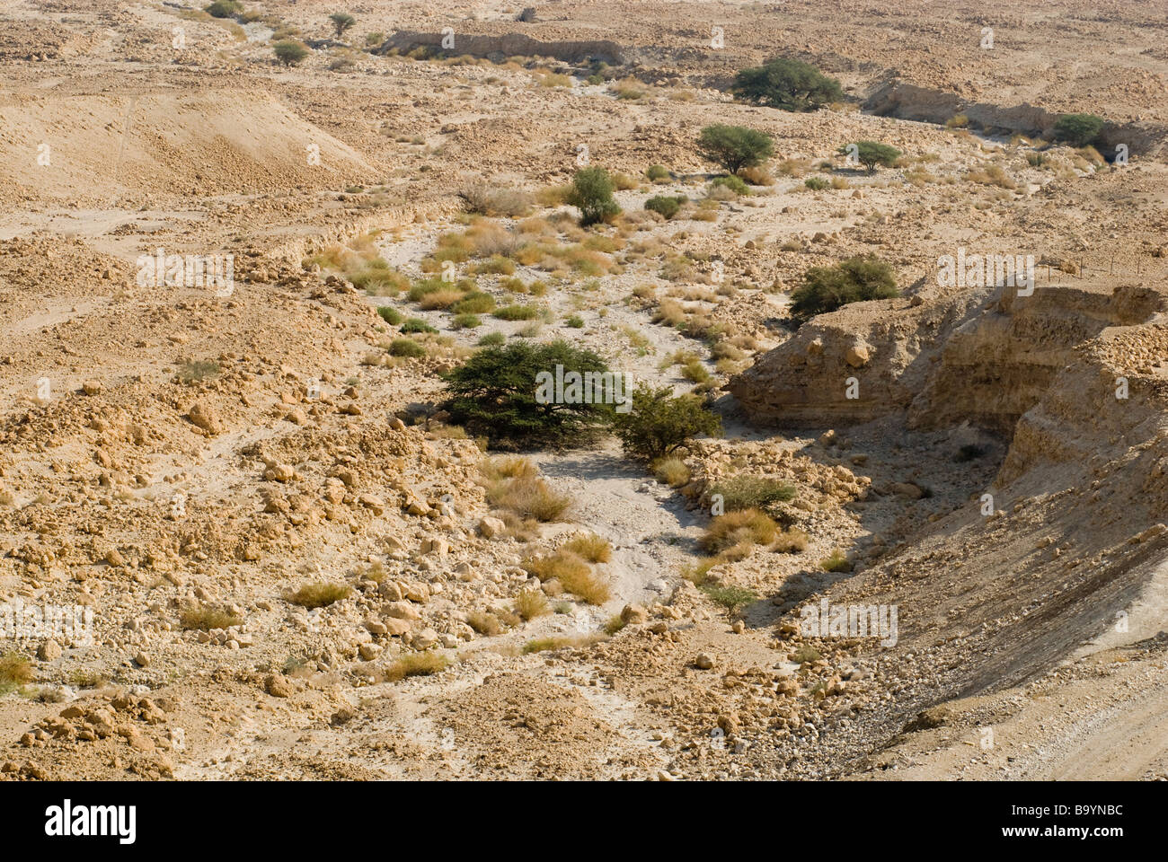 Il Judaean o deserto della Giudea vicino al Mar Morto a riva Israele Foto Stock