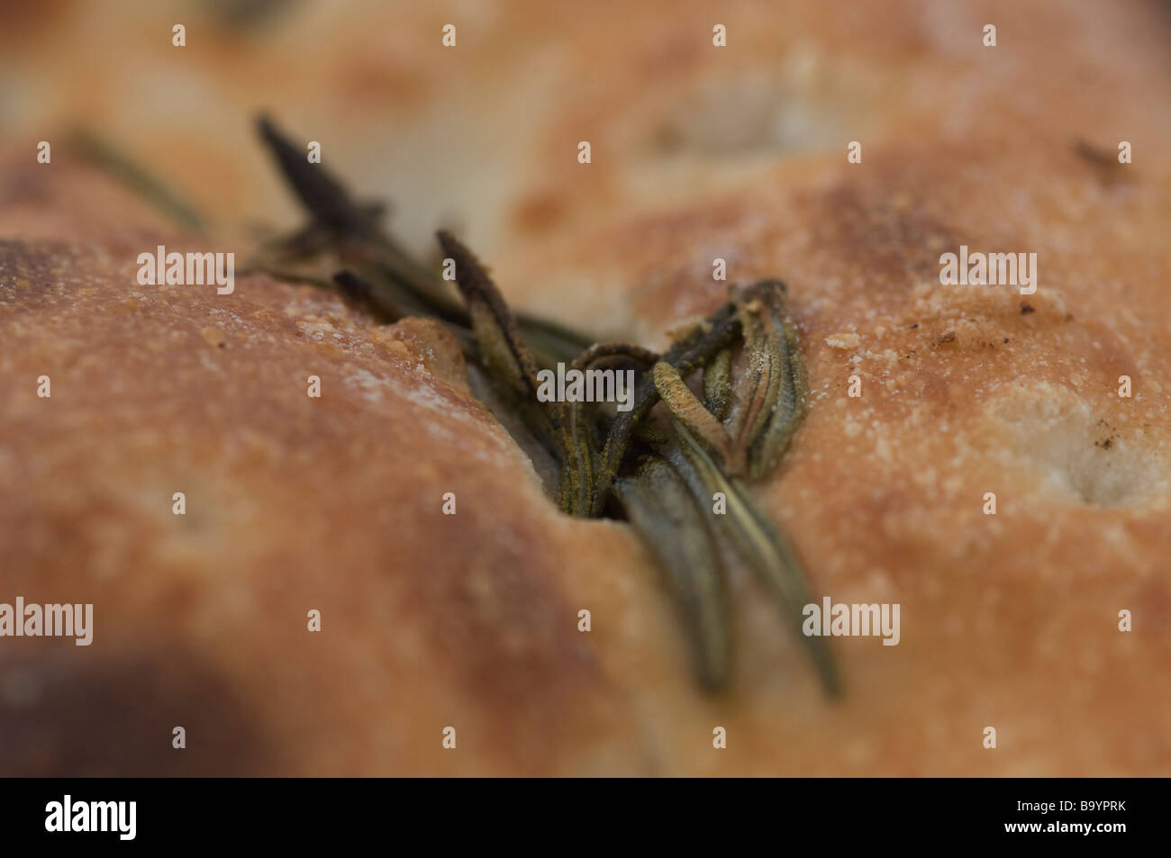 Close up foglie essiccate di erba rosemarin sulla focaccia italiana Foto Stock