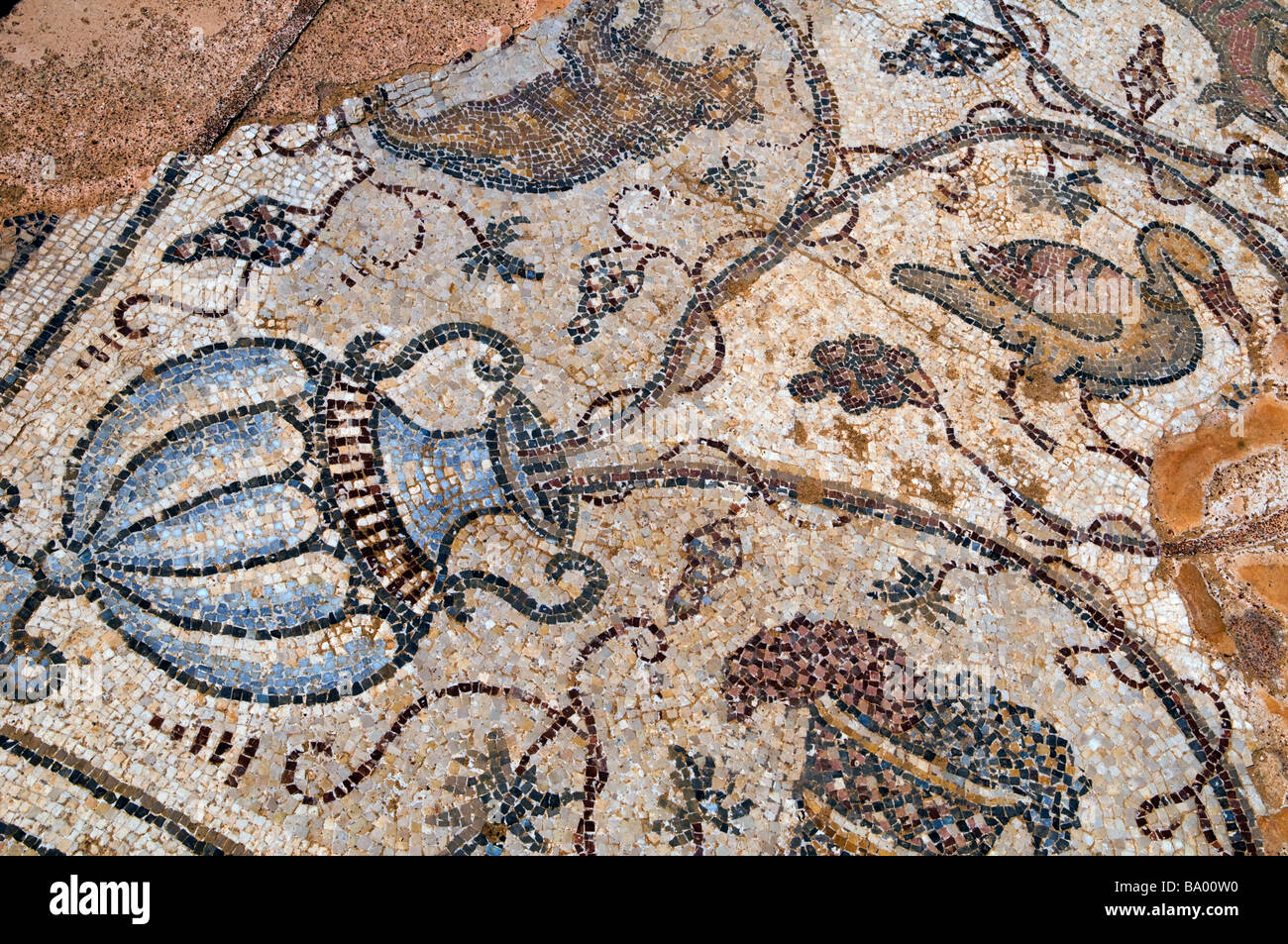 Figurativo di antico pavimento a mosaico a Cesarea parco nazionale di Israele Foto Stock
