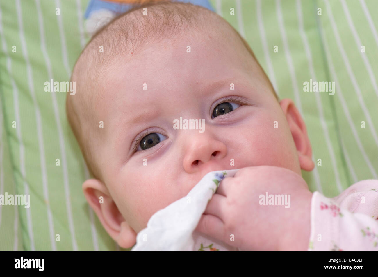 Ragazza Bona Foto Stock