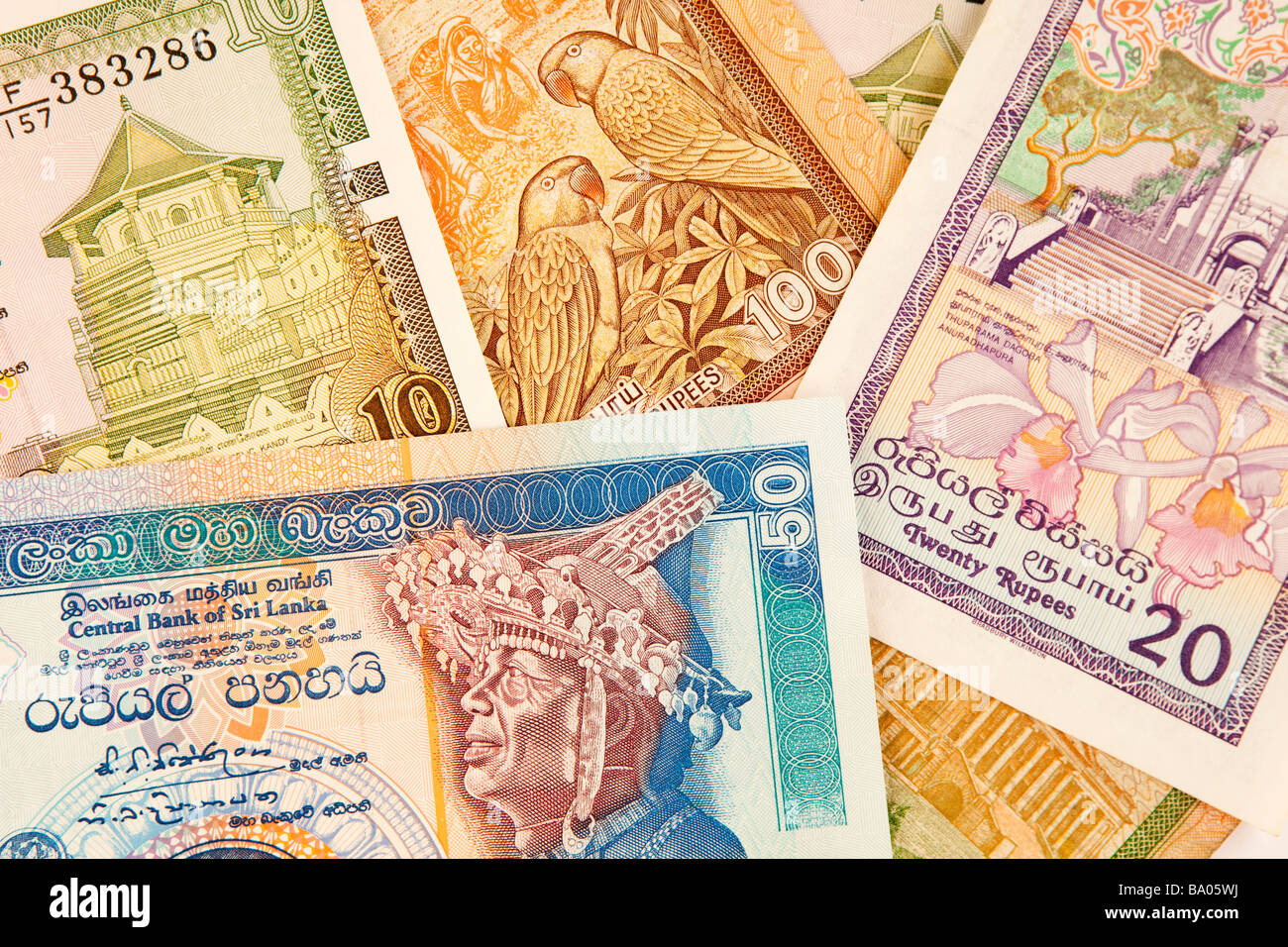 Valuta il denaro di dettaglio dello Sri Lanka banconote Foto Stock