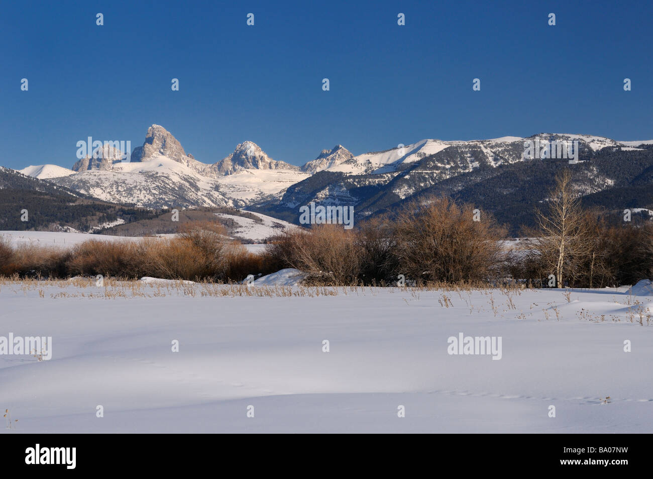 Montare Owen Grand Teton Teton Centrale e Sud Teton picchi Wyoming usa in inverno da Idaho coperta di neve campo Foto Stock