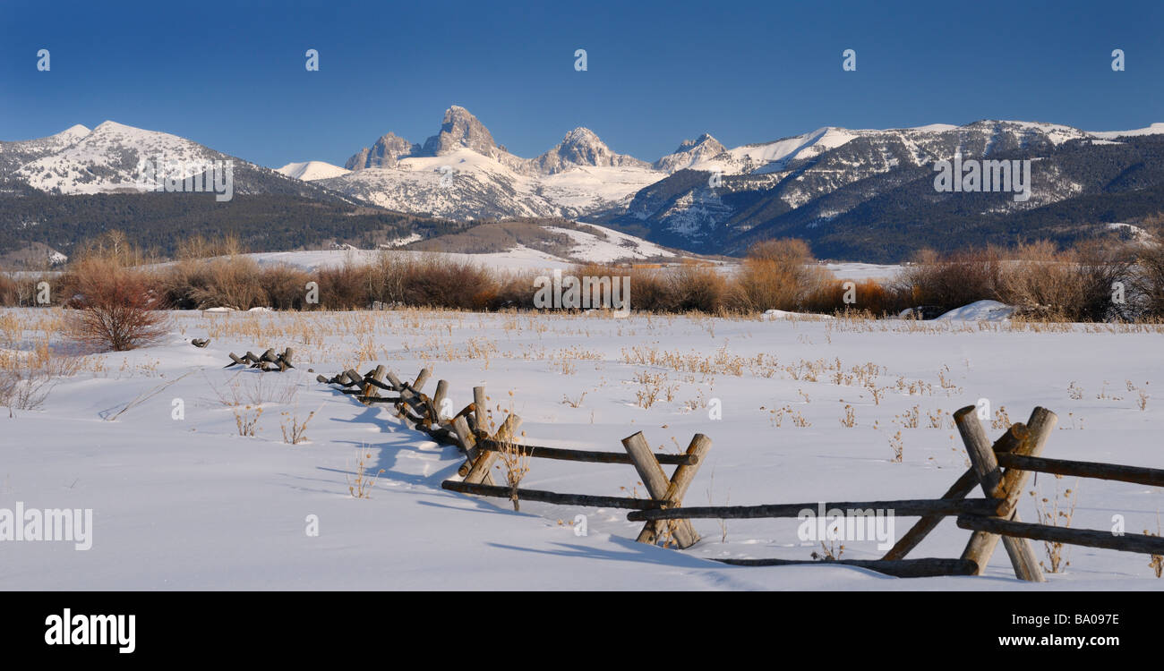 Panorama del monte Owen Grand Centro e Sud Teton picchi Wyoming usa in inverno da un campo di Idaho con buck e cancellata nella neve Foto Stock