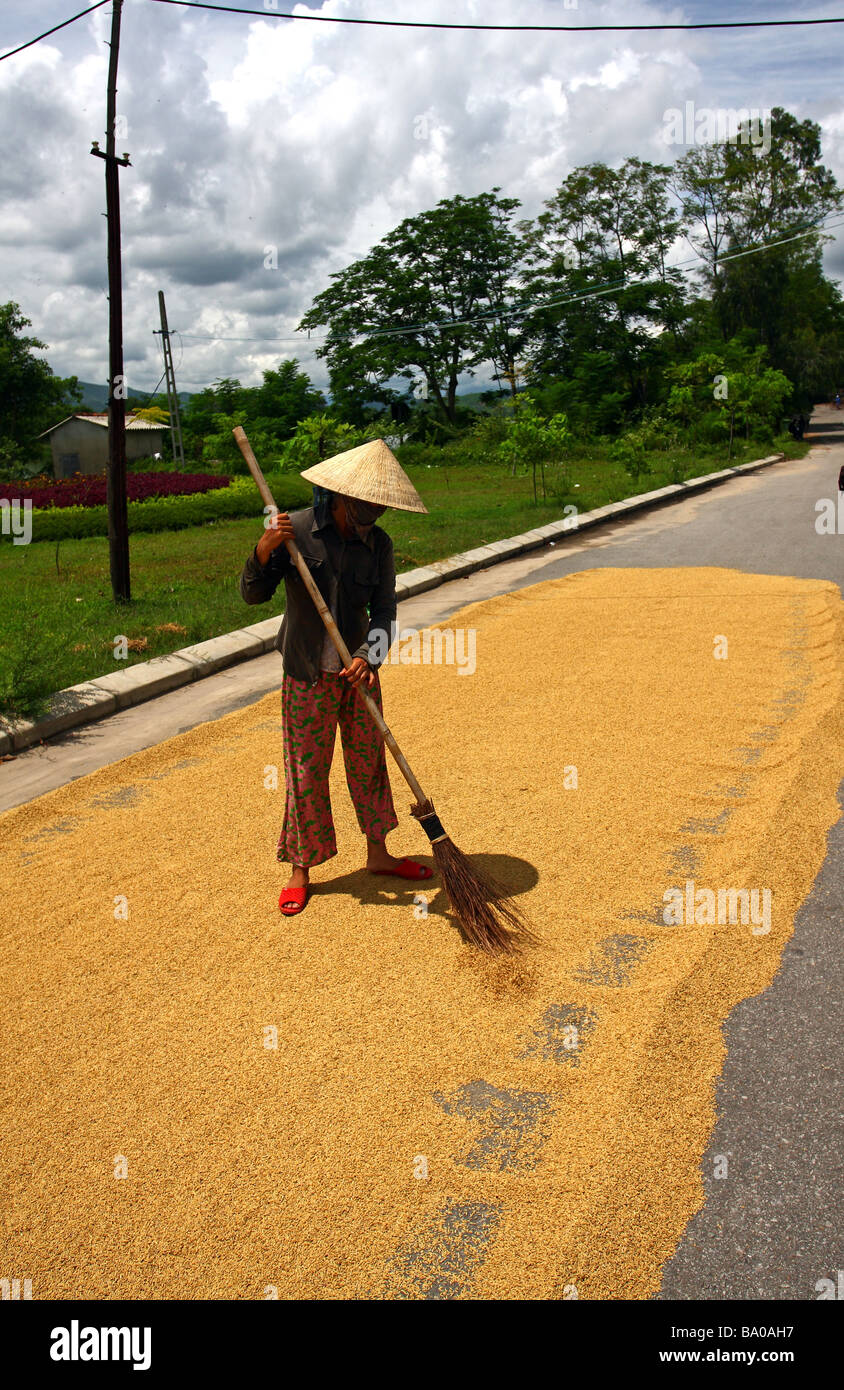 Scena di strada. Donna con il tradizionale cappello conico essiccazione del riso sparso sulla strada. Hue, Vietnam Foto Stock