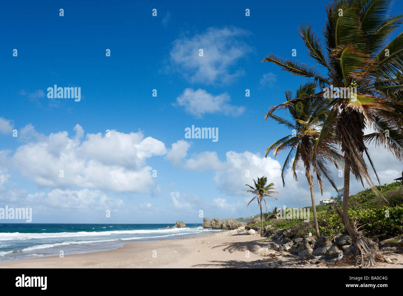 East Coast Beach vicino a Barclays Park, Barbados, Piccole Antille, West Indies, dei Caraibi Foto Stock