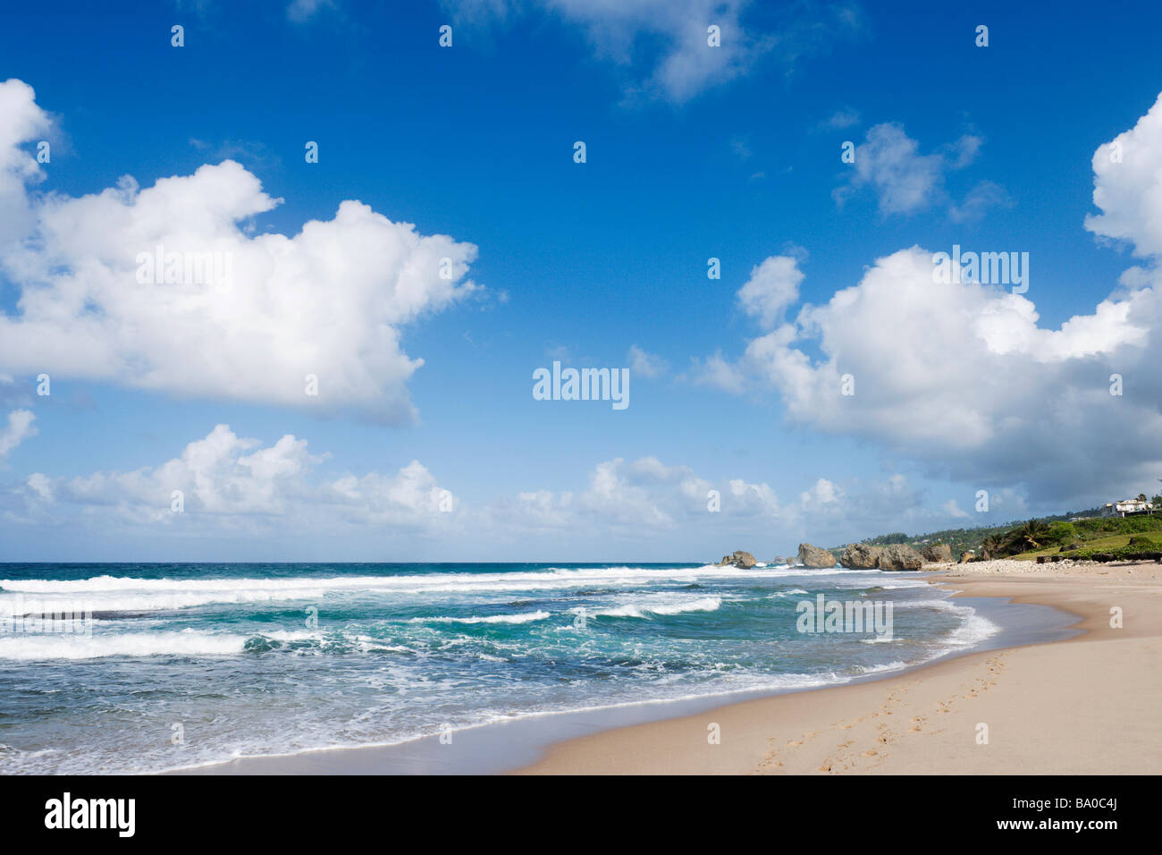 East Coast Beach vicino a Barclays Park Barbados Lesser Antilles West Indies Caraibi Foto Stock