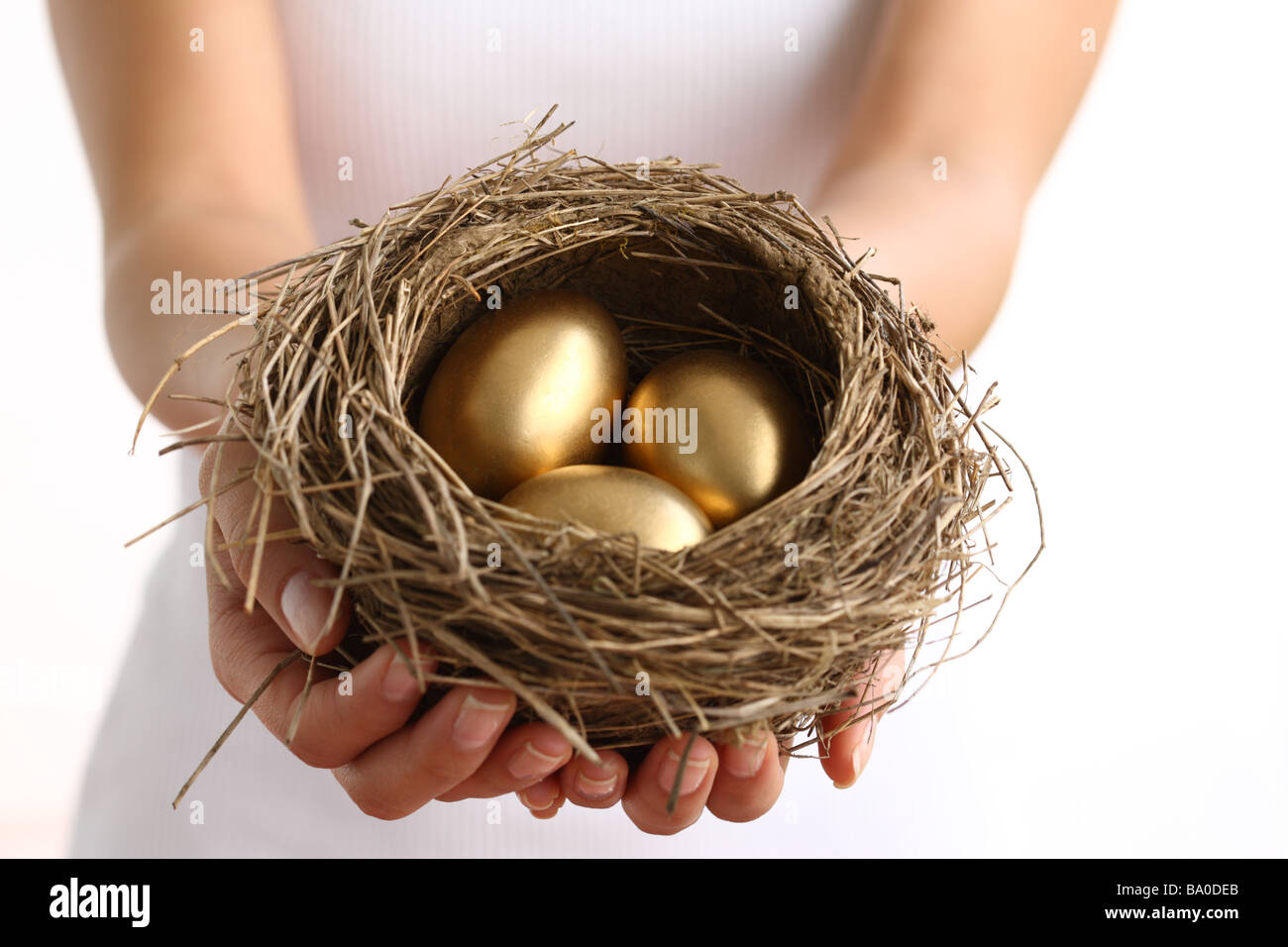 Mani nido con uova d'oro Foto Stock
