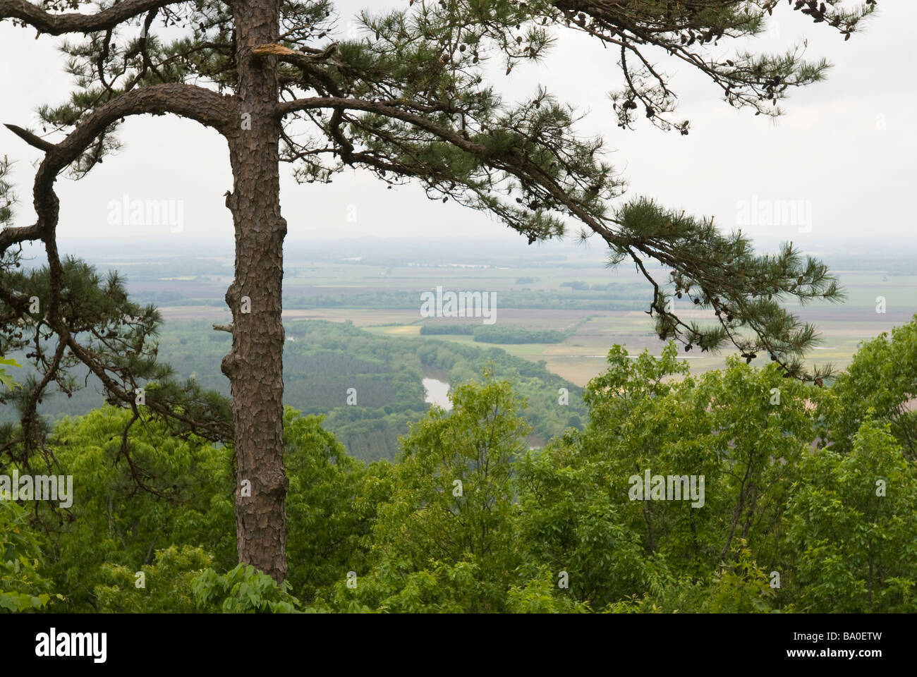 Vista di una valle Ozark Montagne dell'Arkansas. Foto Stock