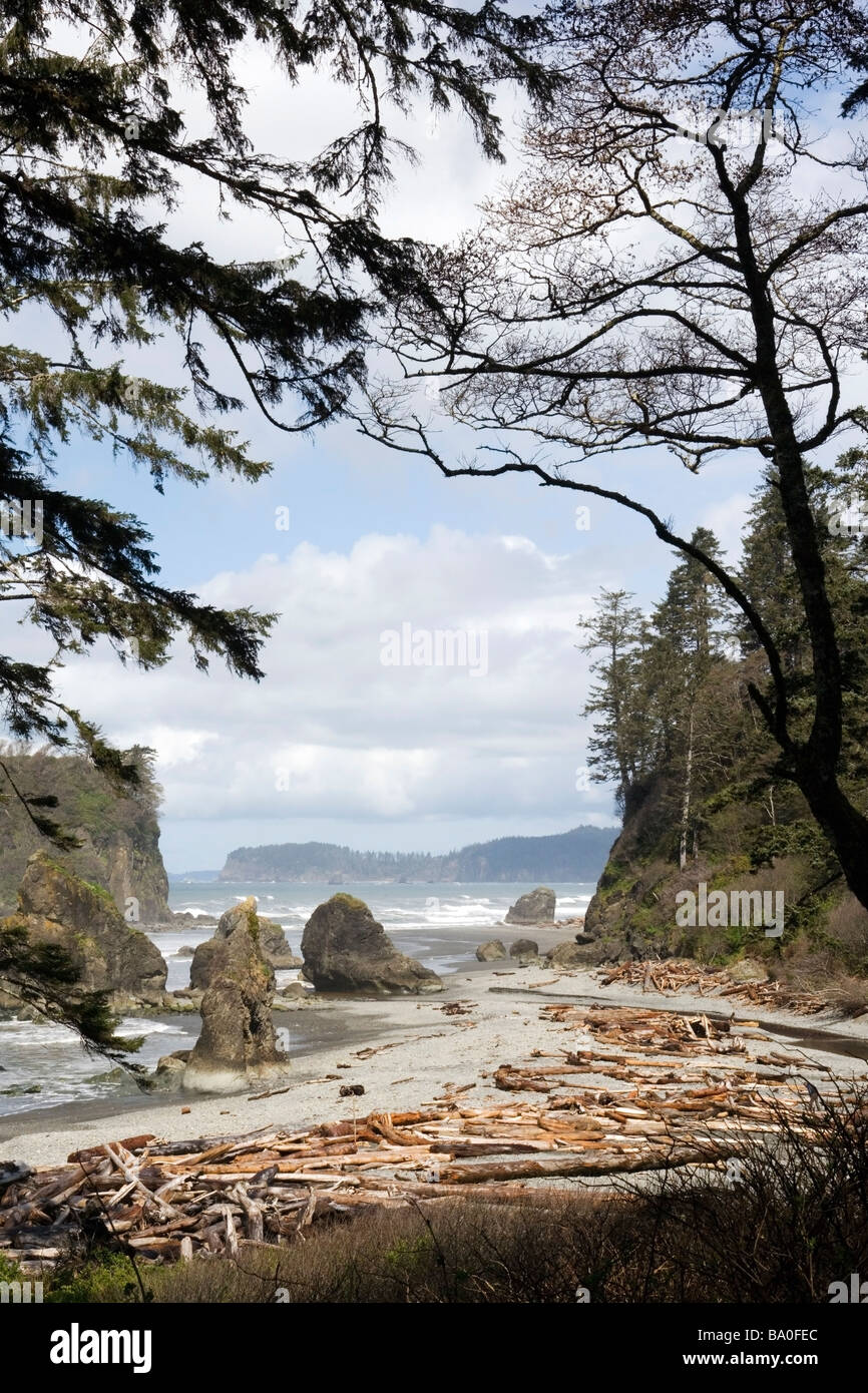 Ruby Beach - Parco nazionale di Olympic, Washington Foto Stock