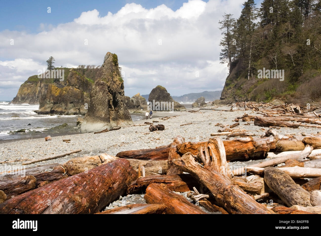 Ruby Beach - Parco nazionale di Olympic, Washington Foto Stock