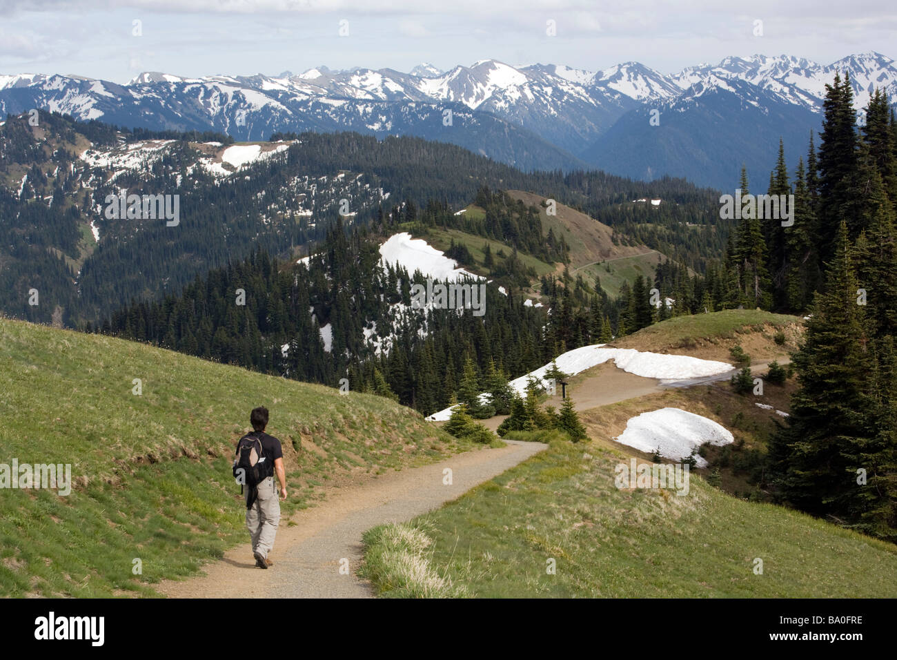 Escursionista su Hurricane Ridge Trail - Parco nazionale di Olympic, Washington Foto Stock