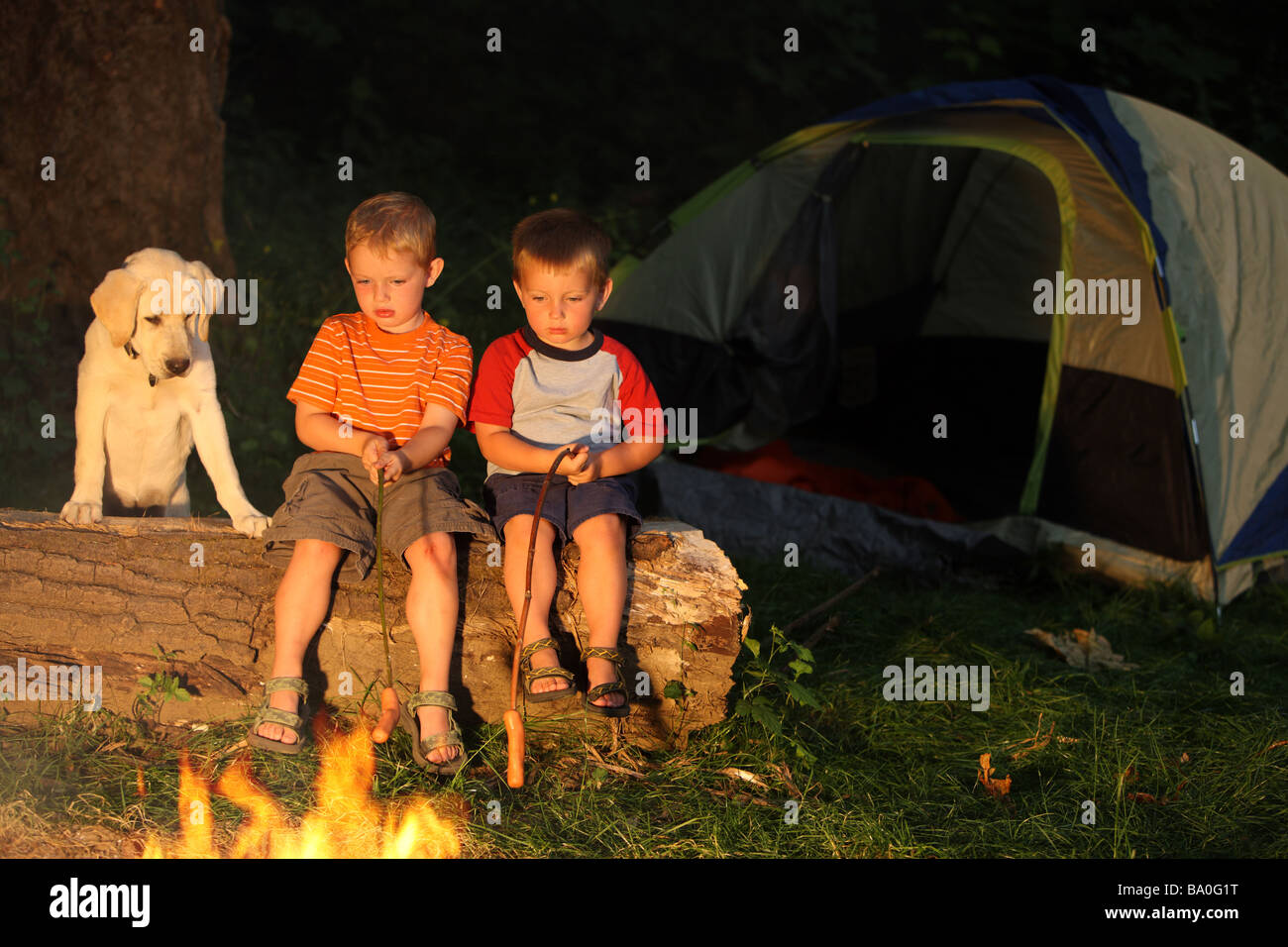 Due giovani ragazzi tostatura hot dogs con cucciolo Foto Stock
