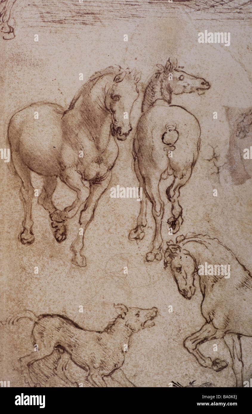 Studi di Cavallo di Leonardo da Vinci 1480 metalpoint Foto Stock
