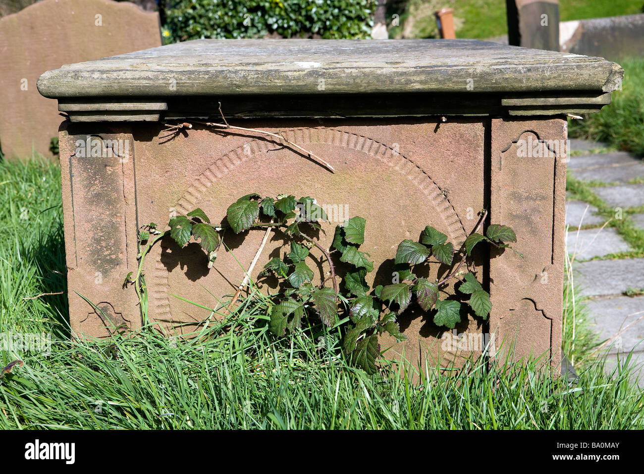 Vecchia tomba alla parte anteriore della chiesa di Santa Maria, Thornton-le-Mori, Cheshire di rovi e di erba lunga crescente intorno ad esso Foto Stock