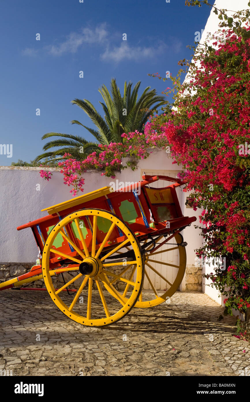 Il Portogallo Algarve, tipico carrello verniciato e bougainvillaea in fiore Foto Stock