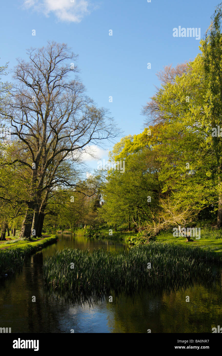 Canale alimentatore, Bute Park, Cardiff, Glamorgan, South Wales, Regno Unito Foto Stock