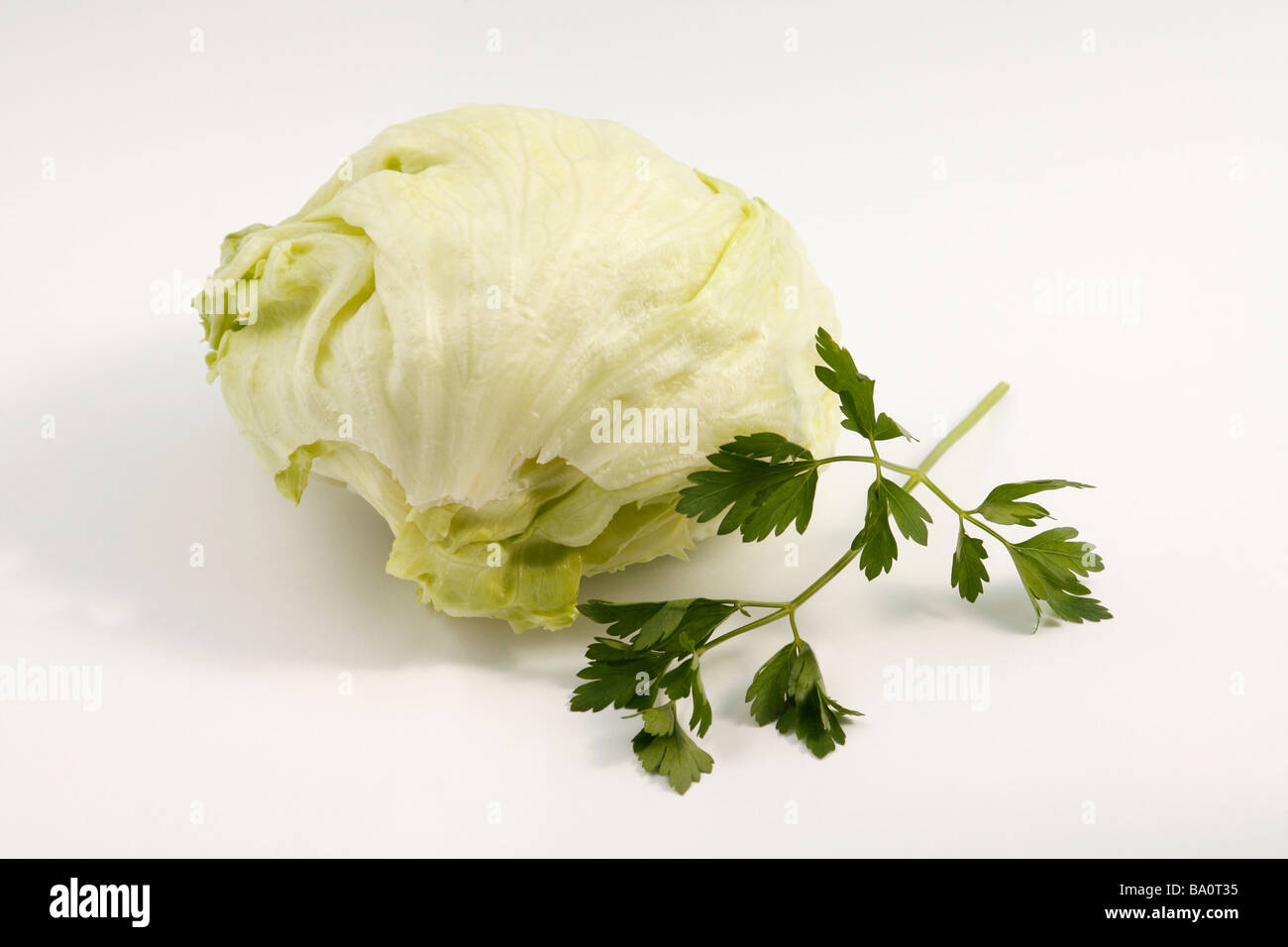 Testa di lattuga (cavolo) e prezzemolo perfetta isolati su sfondo bianco. Foto Stock