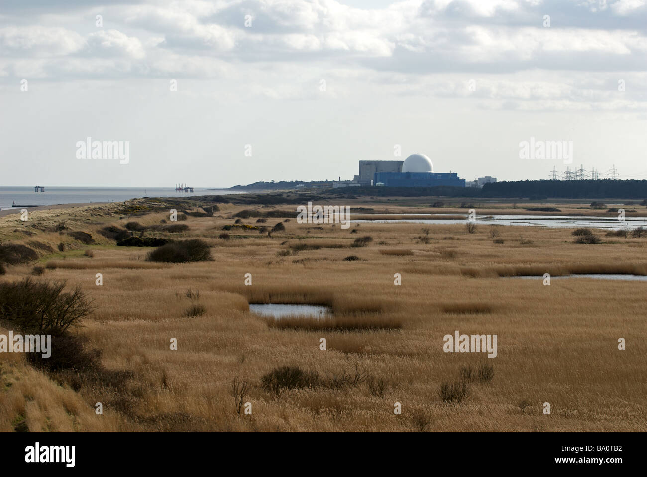 Minsmere riserva naturale vicino alla centrale nucleare di Sizewell B, Suffolk, Regno Unito. Foto Stock