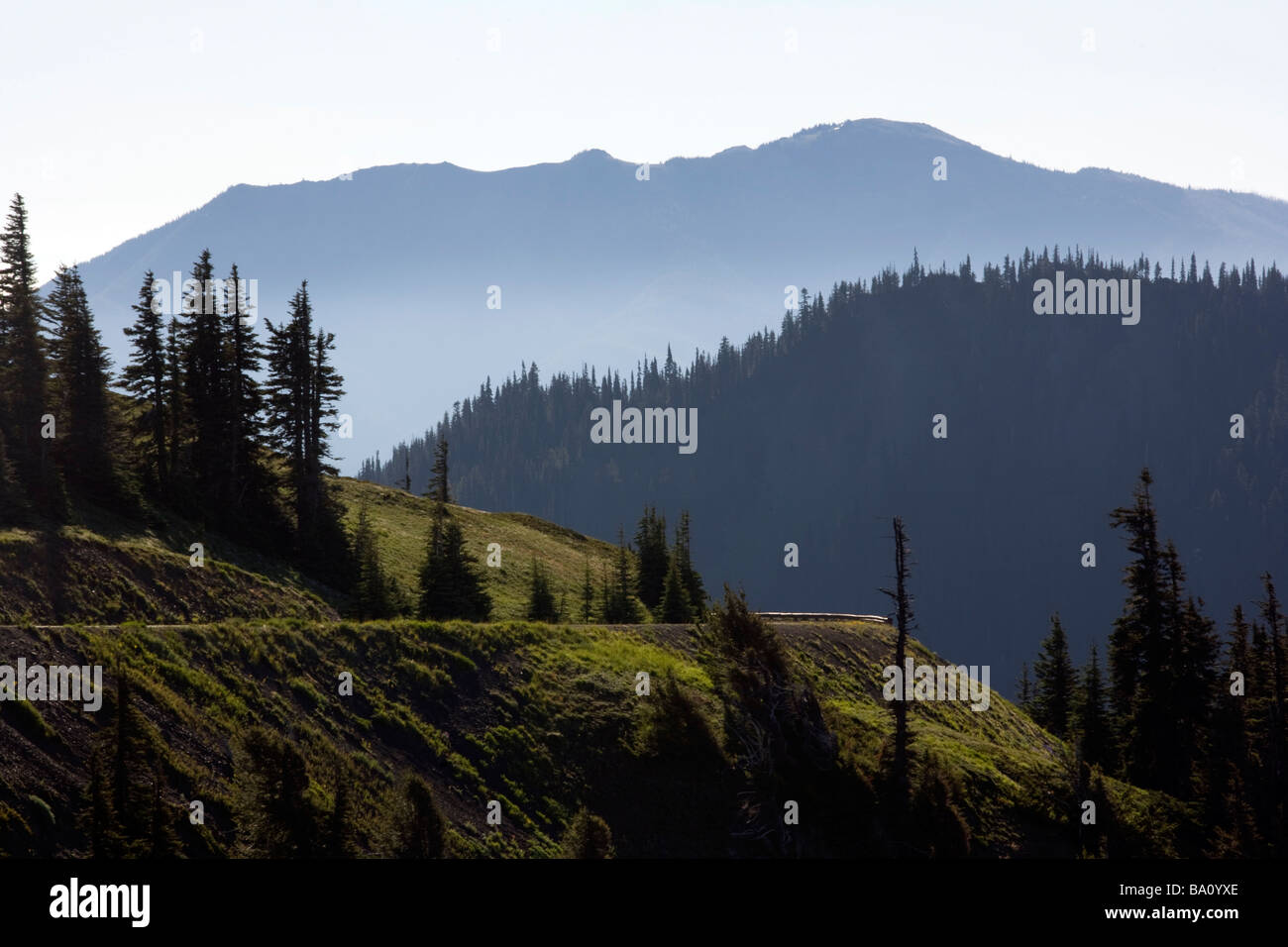 Hurricane Ridge Road - il parco nazionale di Olympic, Washington Foto Stock