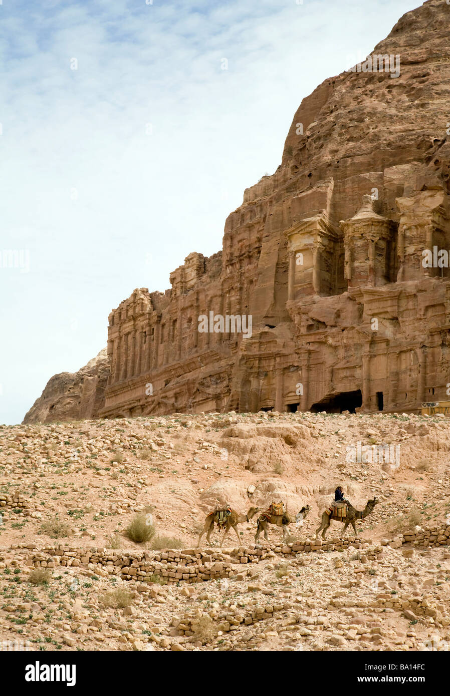 I cammelli passano dai ruderi, Petra, Giordania Foto Stock