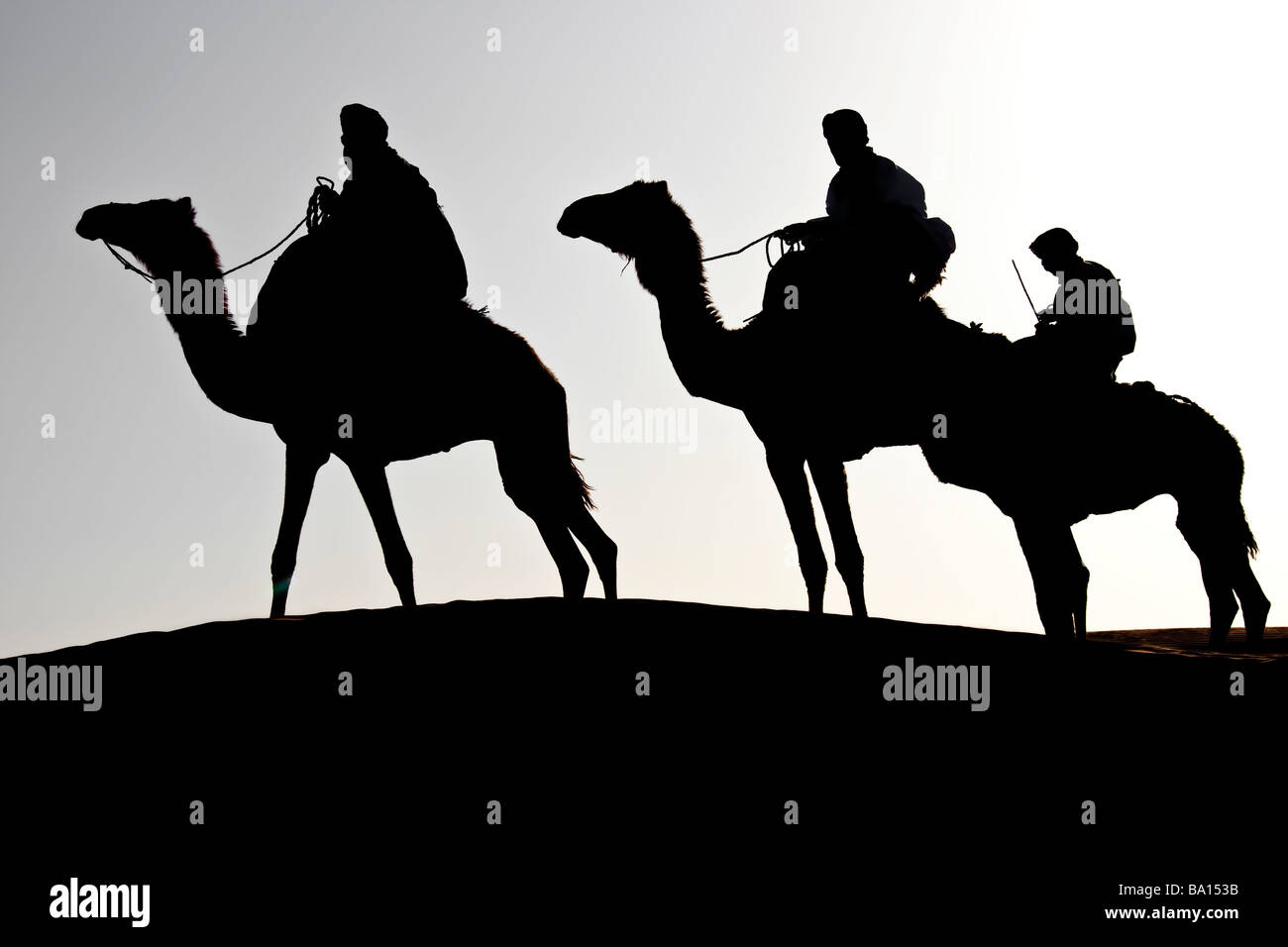 Silhouette di tre uomini a dorso di cammello nel deserto Foto Stock
