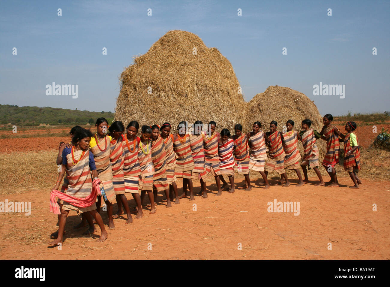 Le donne della tribù Gadaba Esecuzione di danza tradizionale Foto Stock