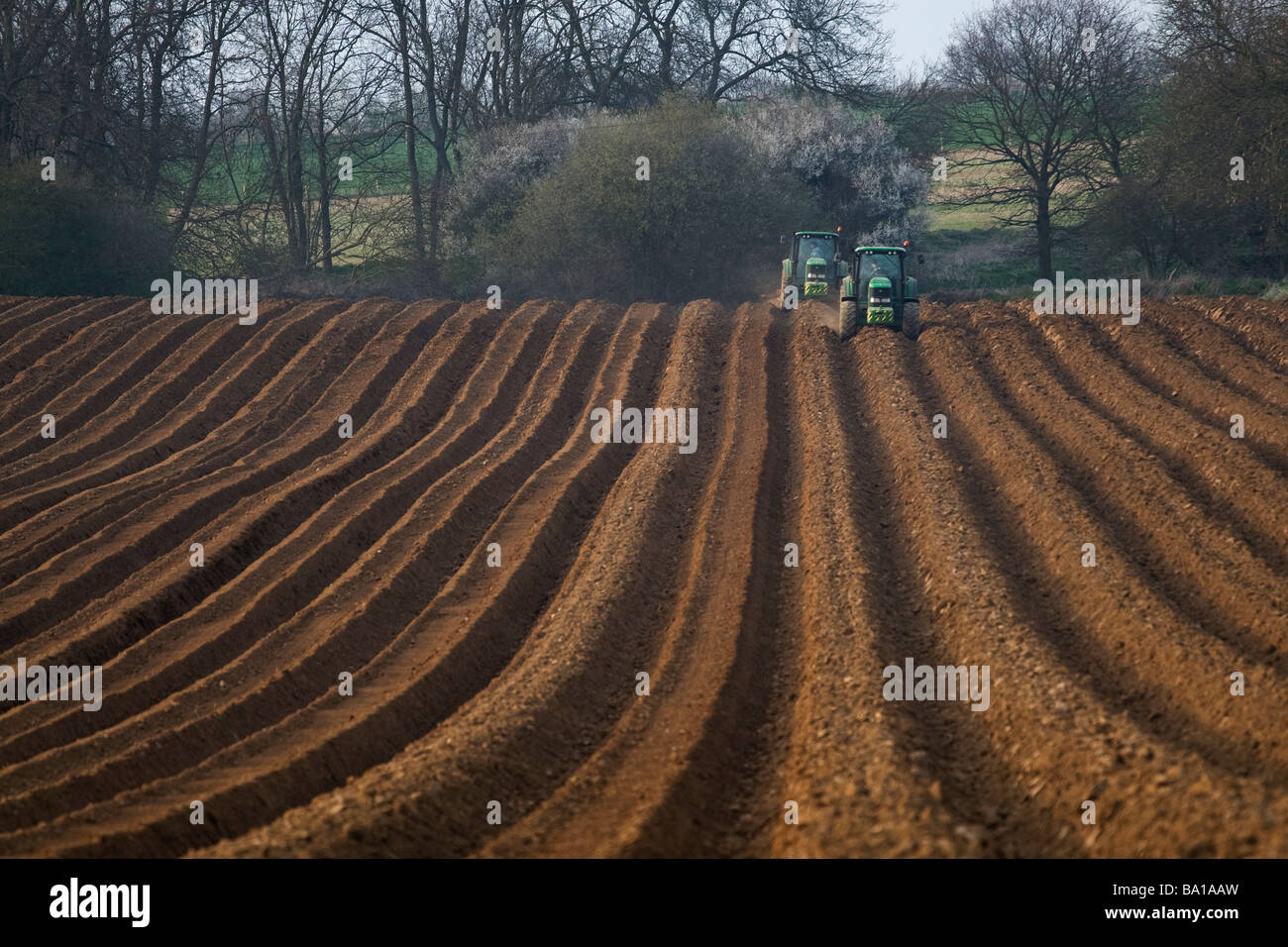 I trattori che lavorano in un campo arato nella campagna di Suffolk, Inghilterra. Foto Stock