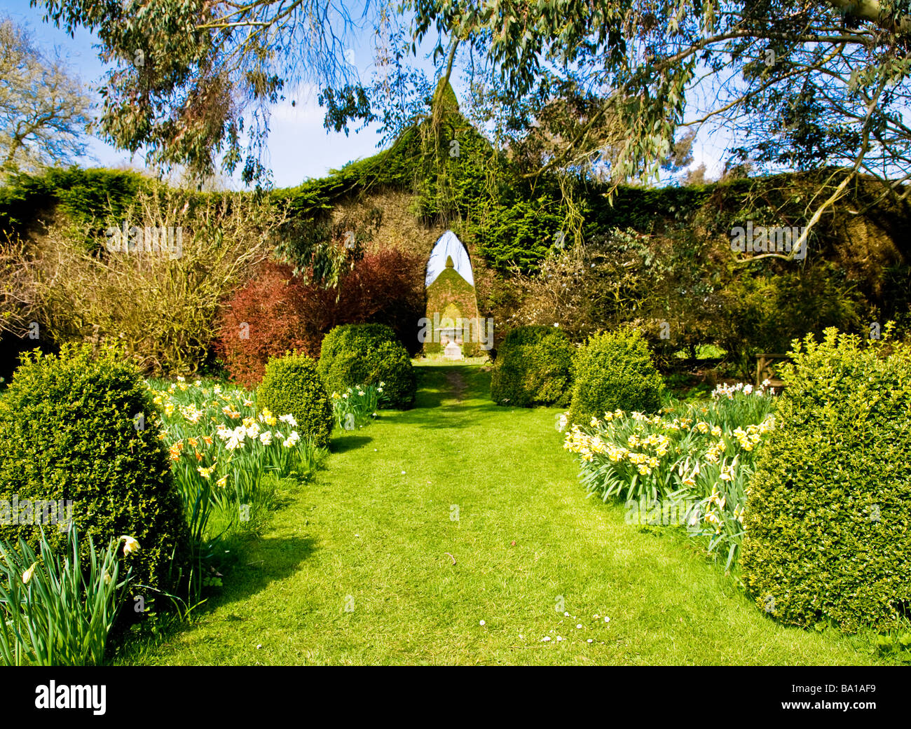 La vista dal giardino daffodil il giardino erbacee a Stourton House Stourton vicino Warminster Wiltshire, Inghilterra REGNO UNITO Foto Stock