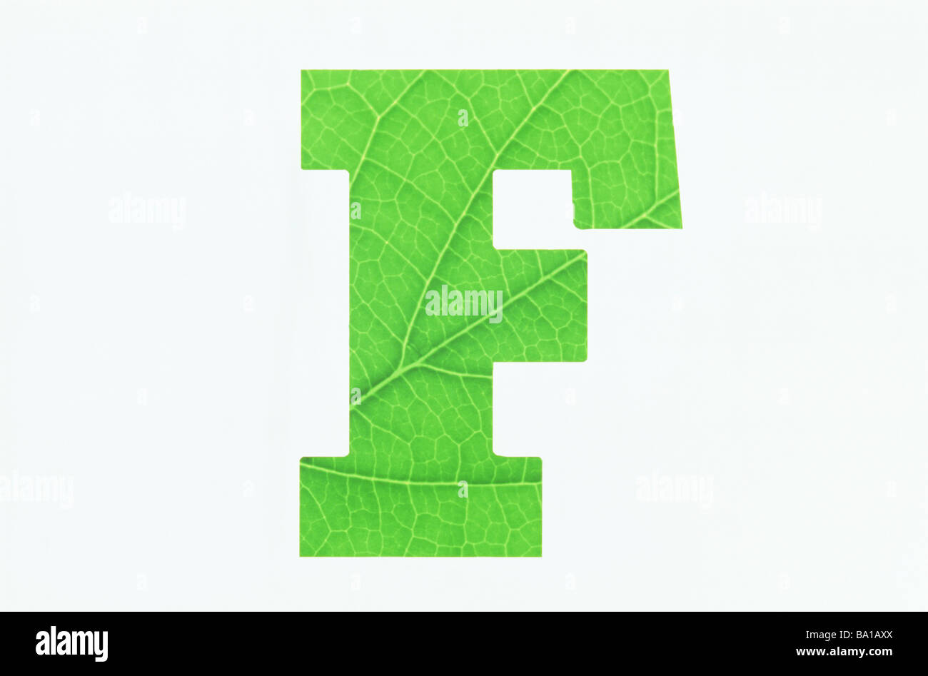 Alfabeto verde F su sfondo bianco Foto Stock