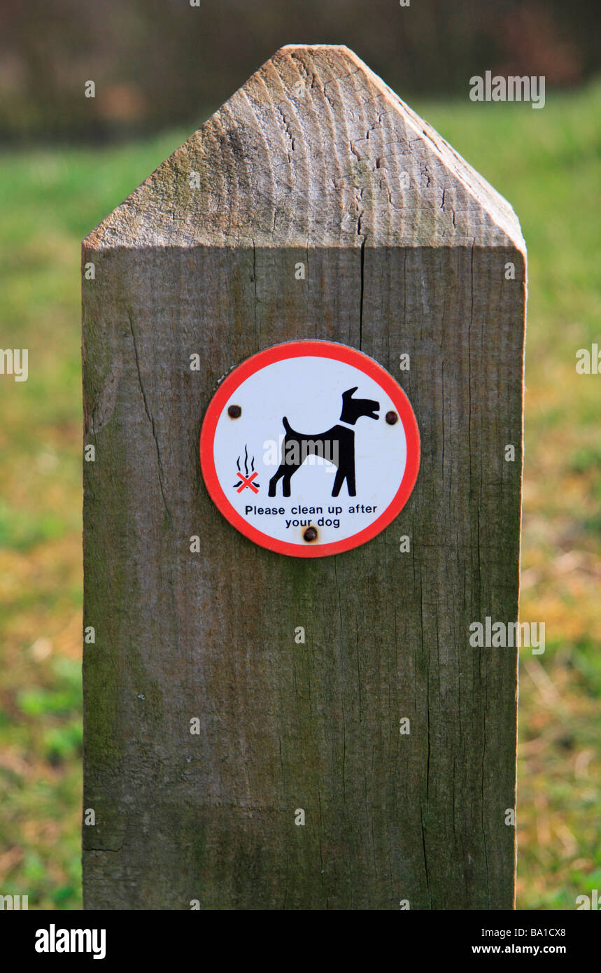 Un "Si prega di pulizia dopo il vostro cane' segno su un palo di legno in Bedfont Lakes Country Park & riserva naturale, Bedfont, Middlesex, Regno Unito. Foto Stock