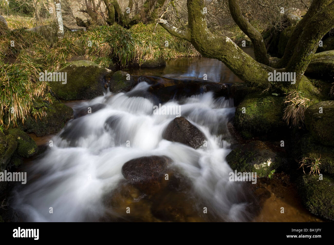 Acque del fiume Dart saltano giù una piccola cascata Hexworthy vicino Ponte sul Dartmoor Foto Stock