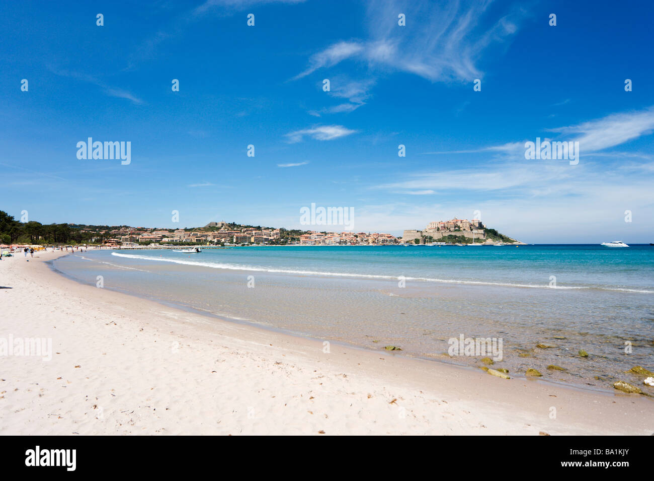 Spiaggia, Calvi, La Balagne, Corsica, Francia Foto Stock