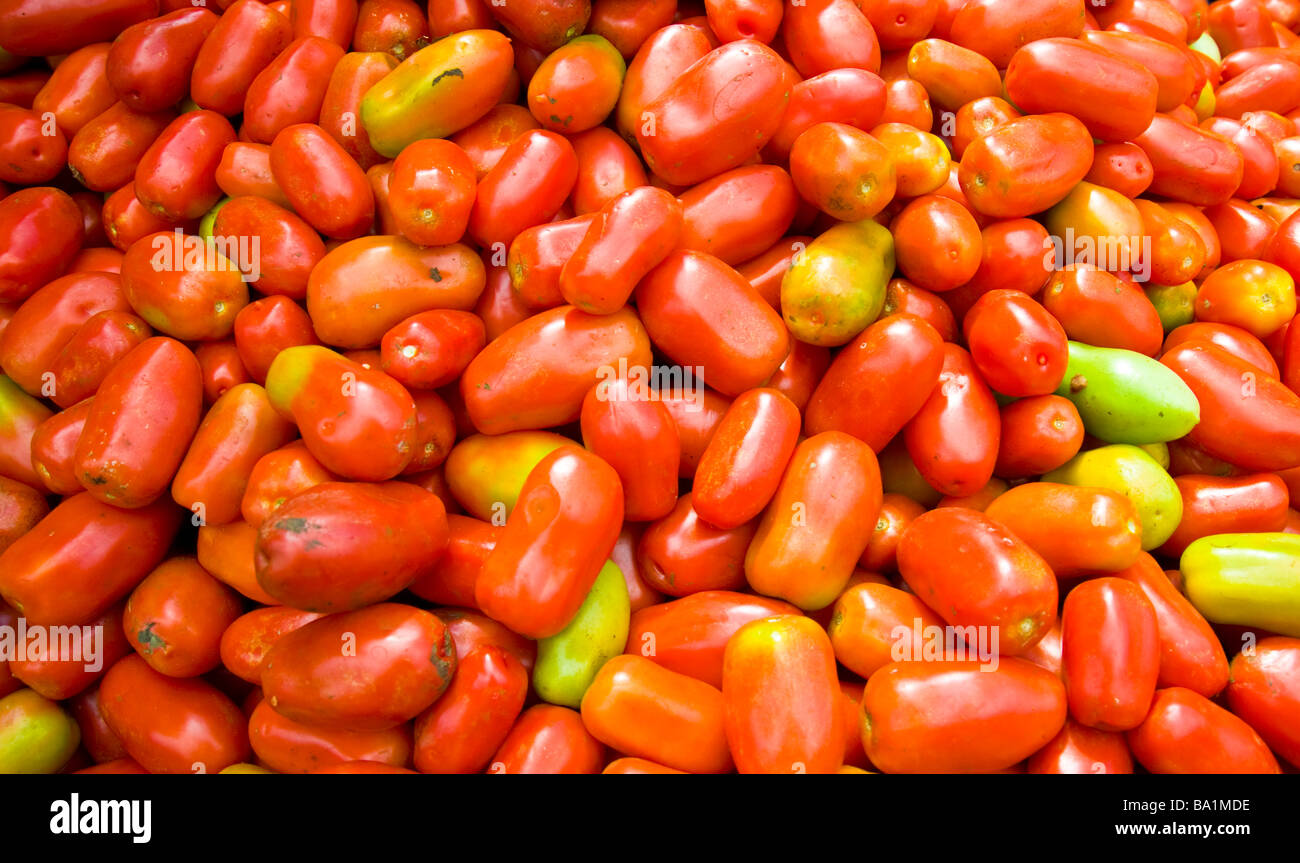 Pila di colore rosso e verde pomodori Solanum lycopersicum su un mercato a Saint Denis La Réunion | Rote und Grüne Tomten, Markt Foto Stock