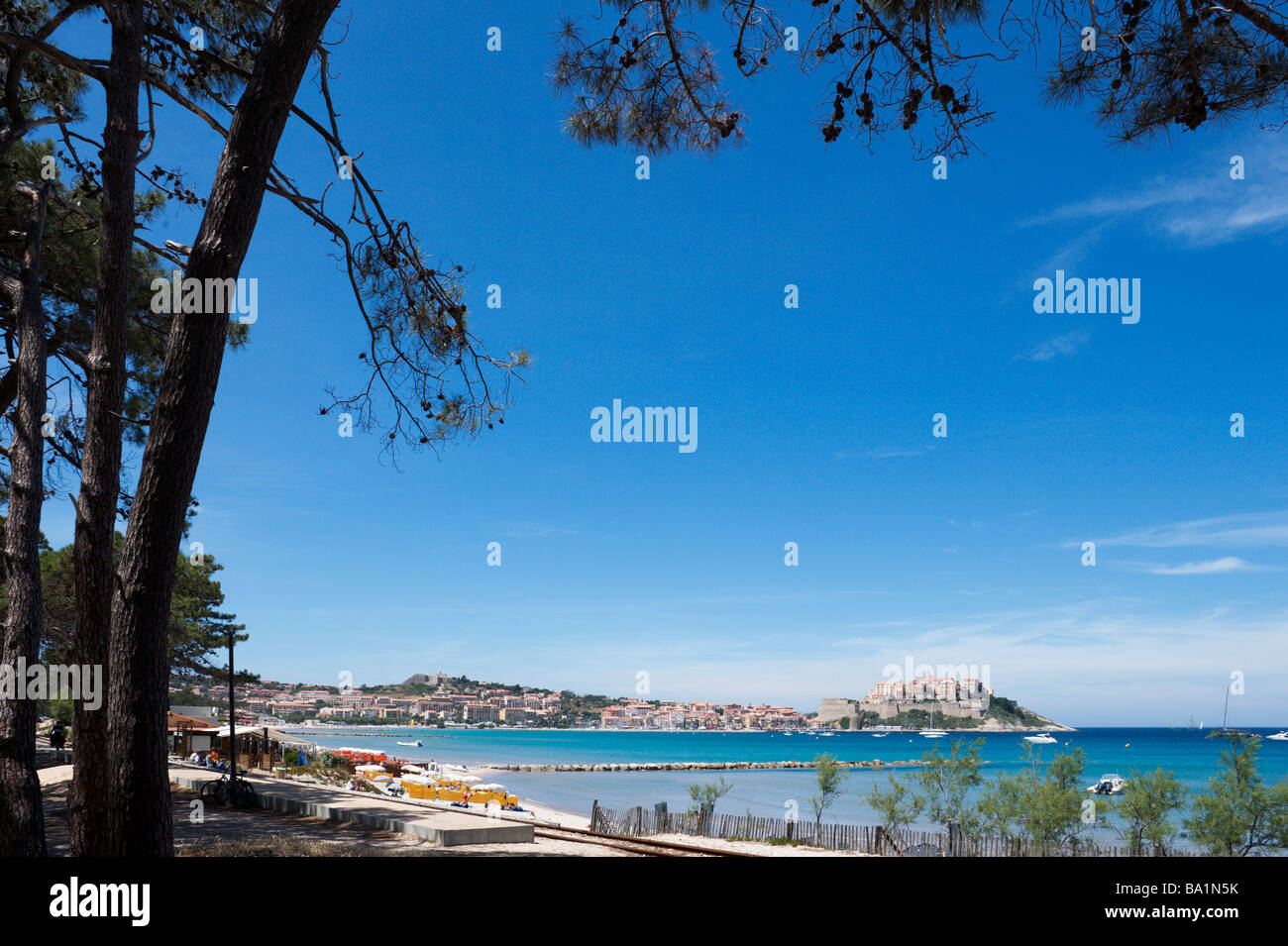 Spiaggia, Calvi, La Balagne, Corsica, Francia Foto Stock