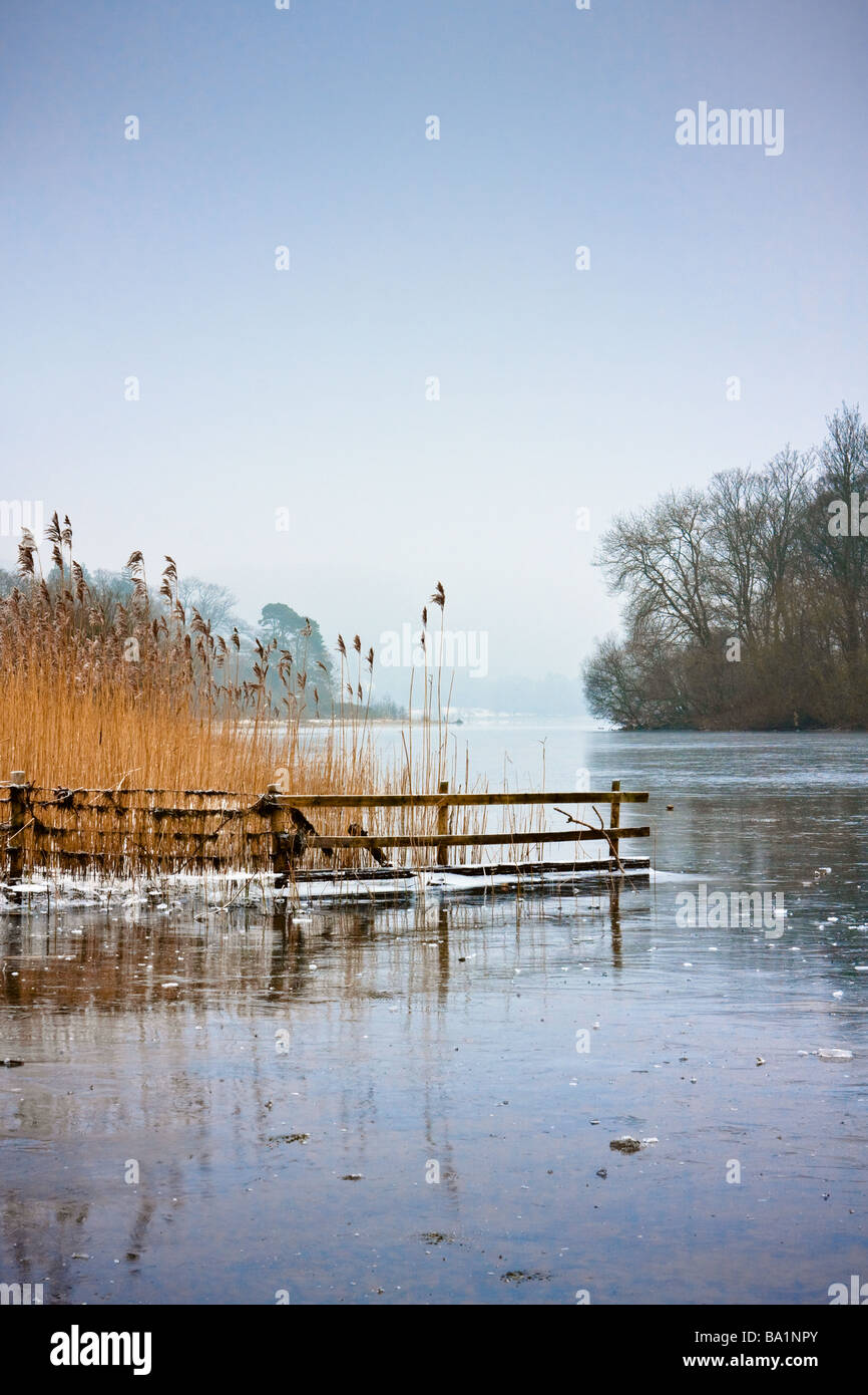Meno 6 condizioni lungo le rive congelate di Derwent Water nel distretto del lago con la recinzione e ance bloccato nel ghiaccio. Foto Stock