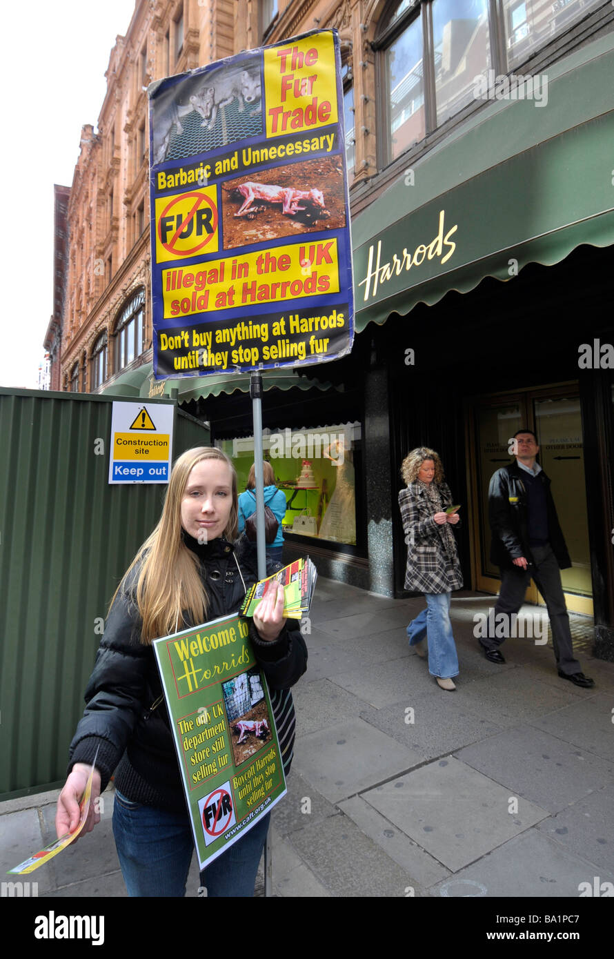 Anti fur sales protester fuori magazzini Harrods, Londra , Inghilterra, Regno Unito Foto Stock