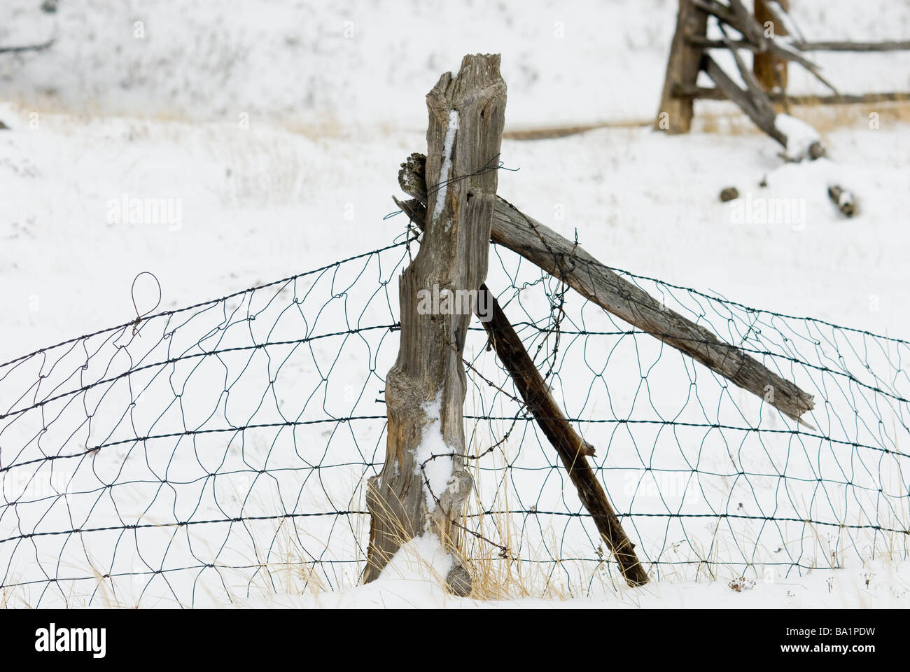 palo per recinzione Foto Stock