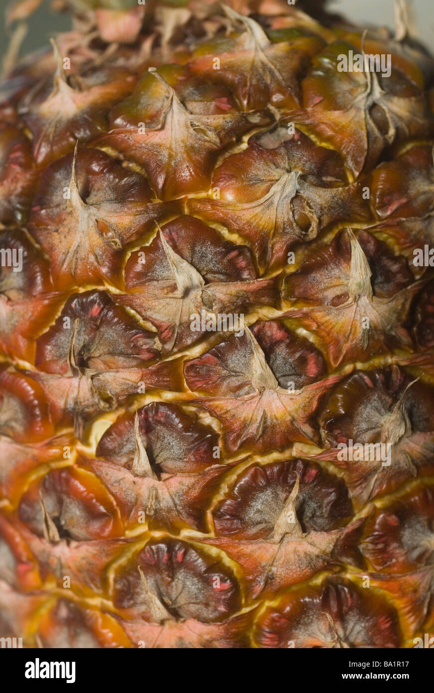 Ananas close up Foto Stock