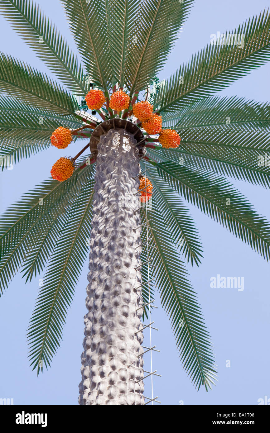 Un telefono cellulare mast fatto per assomigliare ad un albero di Palma di Dubai Foto Stock