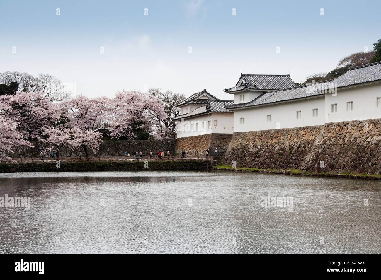 Il castello di Hikone-Shi a Shig prefettura in Giappone Foto Stock