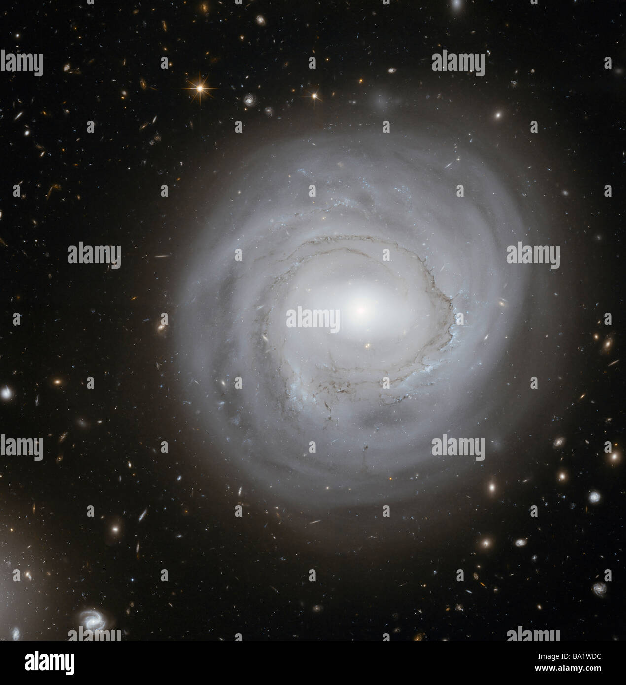 Galassia a spirale barrata immagini e fotografie stock ad alta