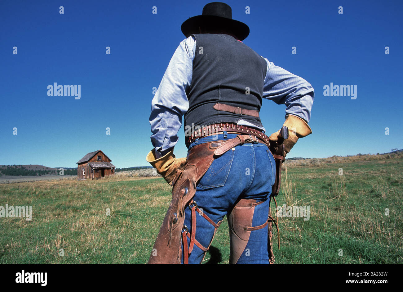 USA Oregon prateria cowboy back-parere dettaglio Nord America paesaggio prati-uomo albero, gli allevatori di bestiame-pastore drovers Foto Stock