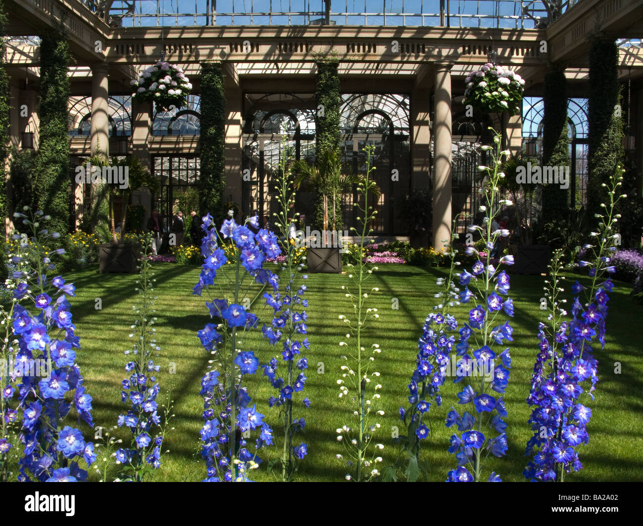Conservatorio botanico Longwood Gardens Kennett Square CHESTER COUNTY PENNSYLVANIA USA Foto Stock