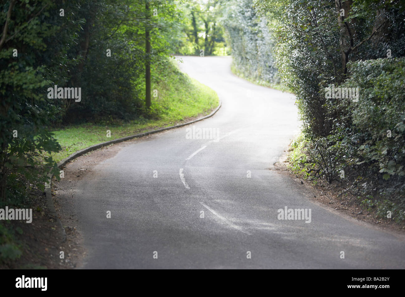 Paese di avvolgimento facciata su strada da siepi Foto Stock