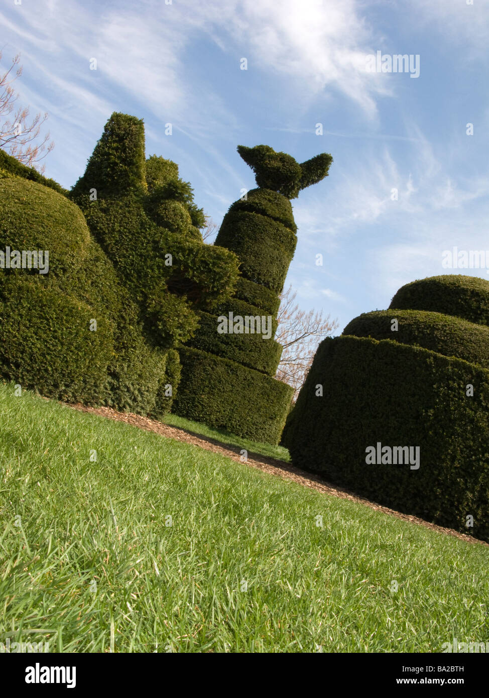 Topiaria da Longwood giardini botanici di Kennett Square CHESTER COUNTY PENNSYLVANIA USA Foto Stock