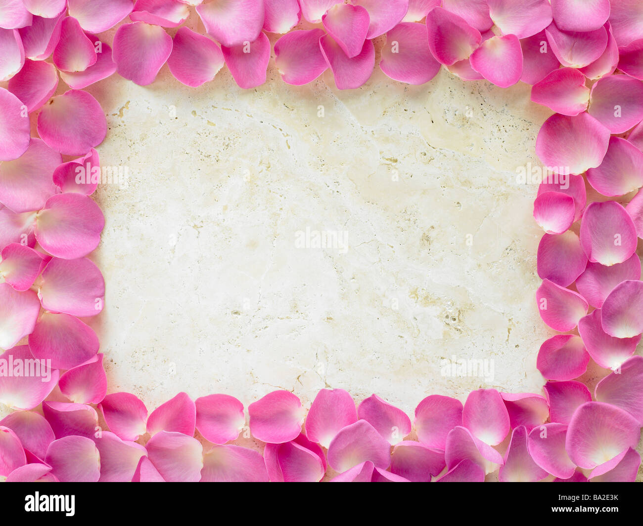 Di petali di rose cornice fotografica Foto Stock