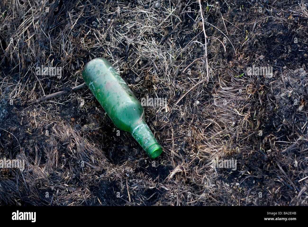 Vuoto bottiglia di birra giacente su erba bruciata Foto Stock
